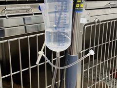 -萌兽医馆·绝育·24小时内科·宠物医院(德胜店)
