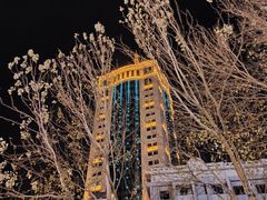 -人民防洪胜利纪念塔