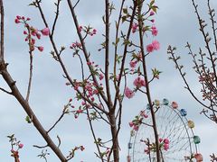 -观澜湖生态运动公社