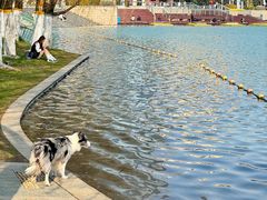 -天鹅湖体育公园