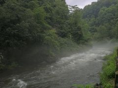 -望天鹅景区