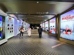 -乐天免税店(明洞店)