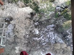 -少华山国家森林公园