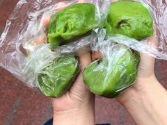 蛋黄肉松青团-沈大成(南京东路店)