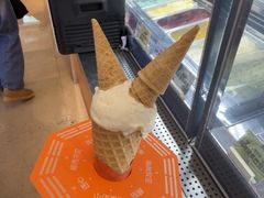 -极拉图·现制冰淇淋(大卫城店)