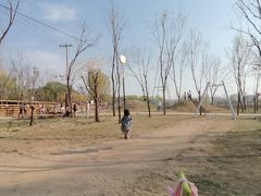 -圣露庄园·亲子活动乐园·露营·团建婚礼