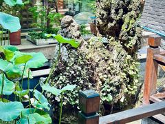 -毅祥斋老孙家泡馍(西羊市店)