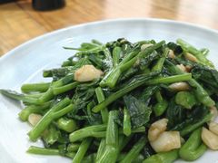 -一轩饺子馆(丽都店)