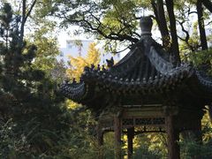 -迎泽公园
