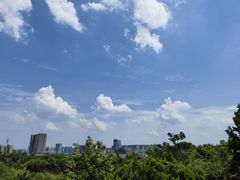 -开福禅寺