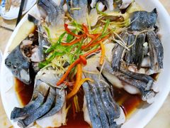 -煲来饱去冷水鱼