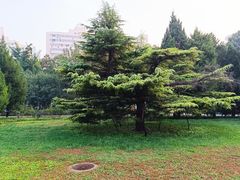 -方庄体育公园
