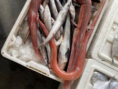 -新农都水产市场