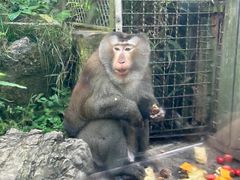 -黔灵山公园