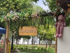 -陶辛水韵
