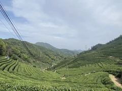 -午潮山国家森林公园