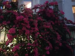 -深圳海景嘉途酒店(东翼楼)