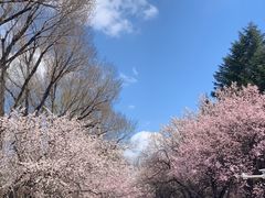 -吉林大学(南岭校区)