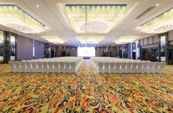 -成都大鼎世纪大酒店·宴会厅