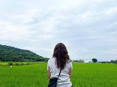 -艾米稻香小镇