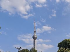 -文华公园(禅城区)