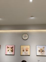 -洗脸猫·洗脸吧