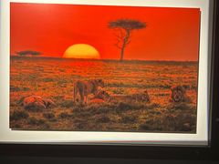 -罗红摄影艺术馆