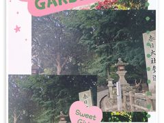 -奈良公园