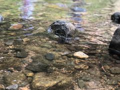 -碓臼峪自然风景区