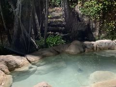 -天芳悦潭度假村温泉