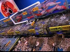 -四海之家(蛇口店)