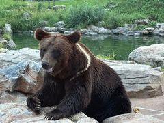 -北京野生动物园