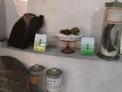 -广东中医药博物馆