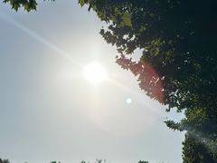 -滨湖塘西河公园