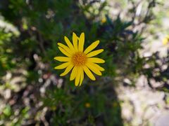 -广州市流溪河国家森林公园