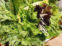 蔬菜拼盘-口福居老北京涮肉(大运村店)