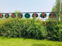 -前小桔亲子创意农场·草莓采摘·露营烧烤