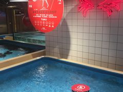 澳洲龙虾-日进一片海.生腌海鲜火锅.宵夜烧烤(三里屯总店)