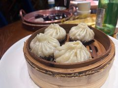-蒙古苍狼蒙餐