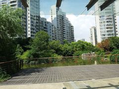 -新湖明珠城