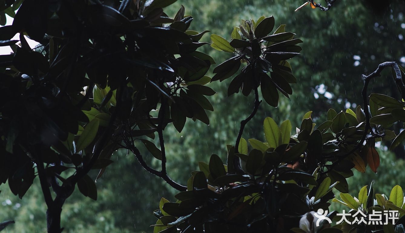 觉得闷热,就逛去园林吃雪糕!