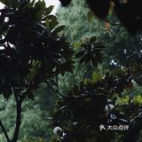 觉得闷热,就逛去园林吃雪糕!