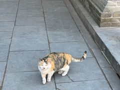 -四门塔风景区