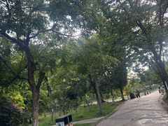 -花溪公园