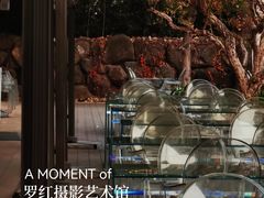 -罗红摄影艺术馆