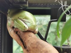 -南宫五洲植物乐园