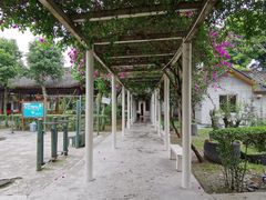 三角梅长廊-周老三跷脚牛肉·全牛火锅(非遗传承店)