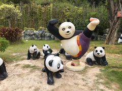 -泉州海丝野生动物世界