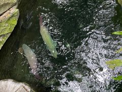 -青青世界