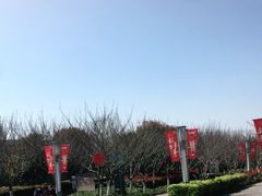 -高东镇樱花园